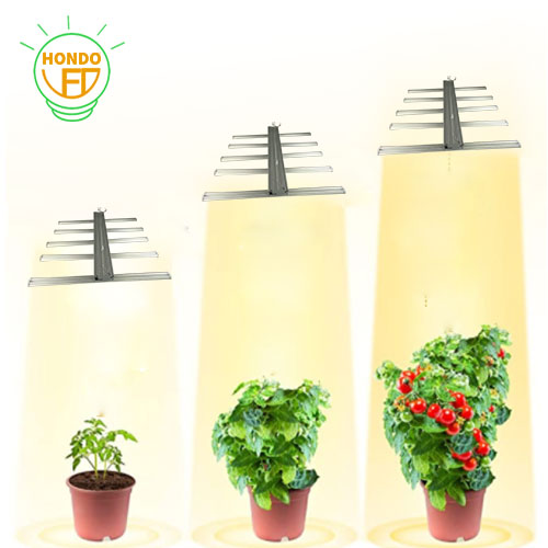 Do LED grow lights really promote plant growth